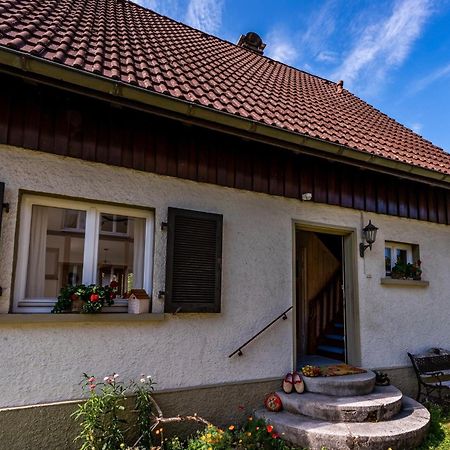 Gartenferienhaus "Annaluise" Шёнау-им-Шварцвальд Экстерьер фото