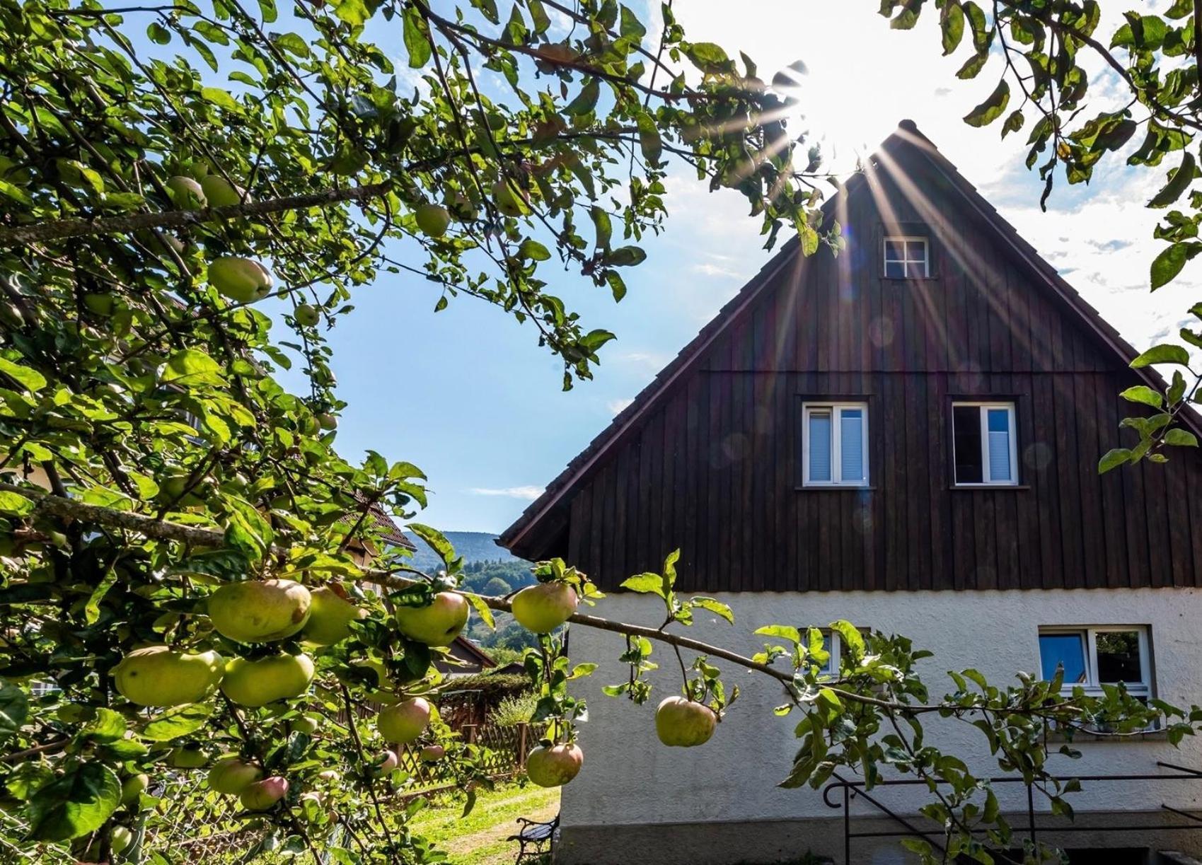 Gartenferienhaus "Annaluise" Шёнау-им-Шварцвальд Экстерьер фото