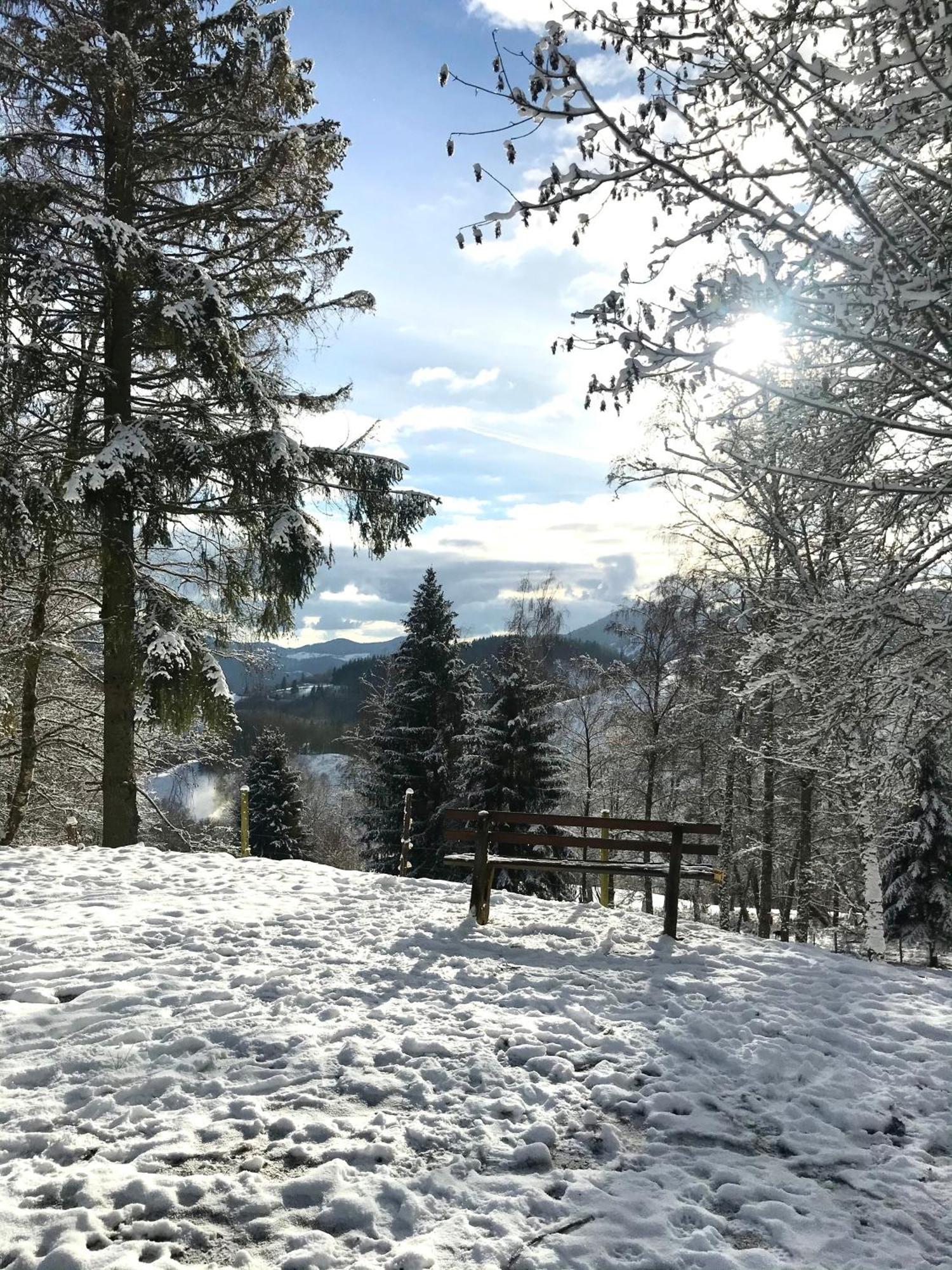 Gartenferienhaus "Annaluise" Шёнау-им-Шварцвальд Экстерьер фото